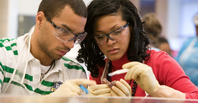 Tom Reed Pics 147 copy